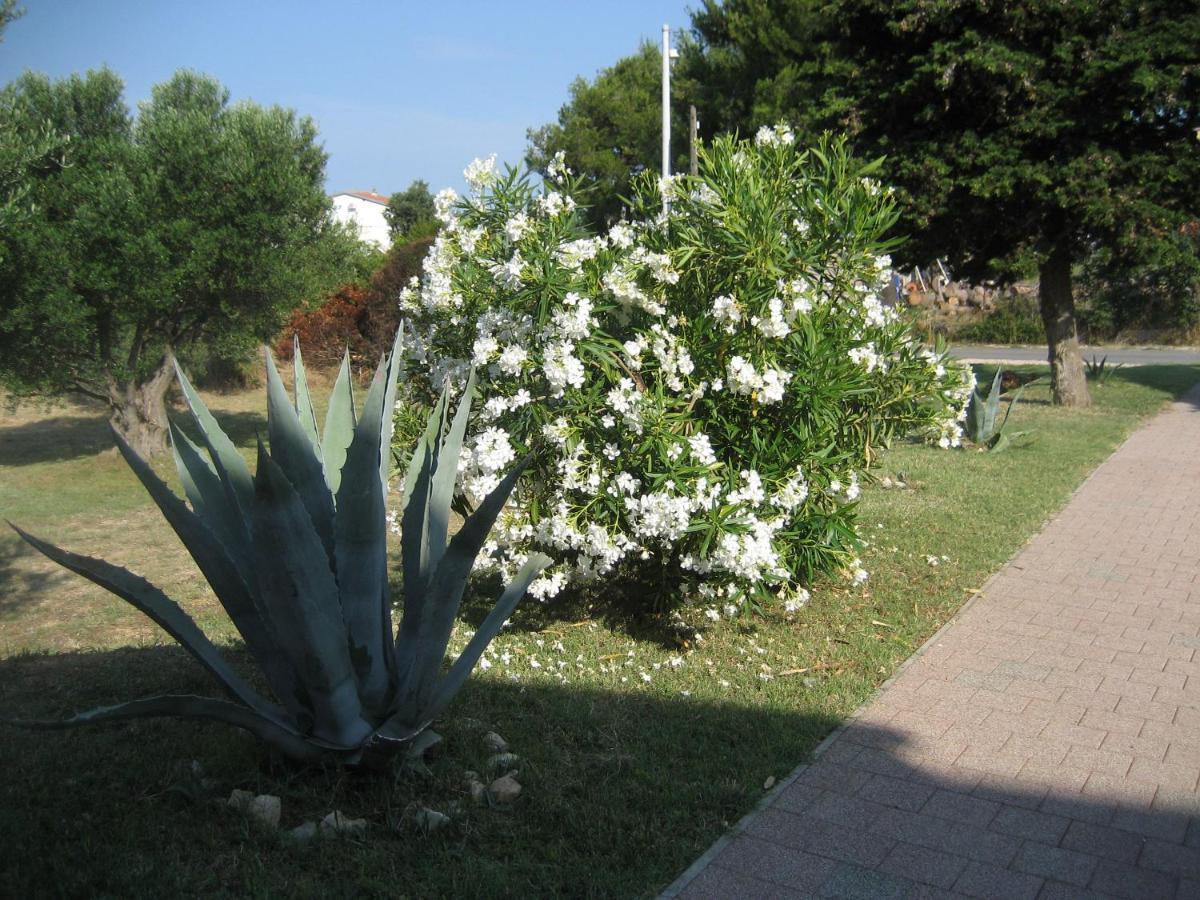 Villa „Drei Palmen“ Sveti Filip i Jakov Exterior foto