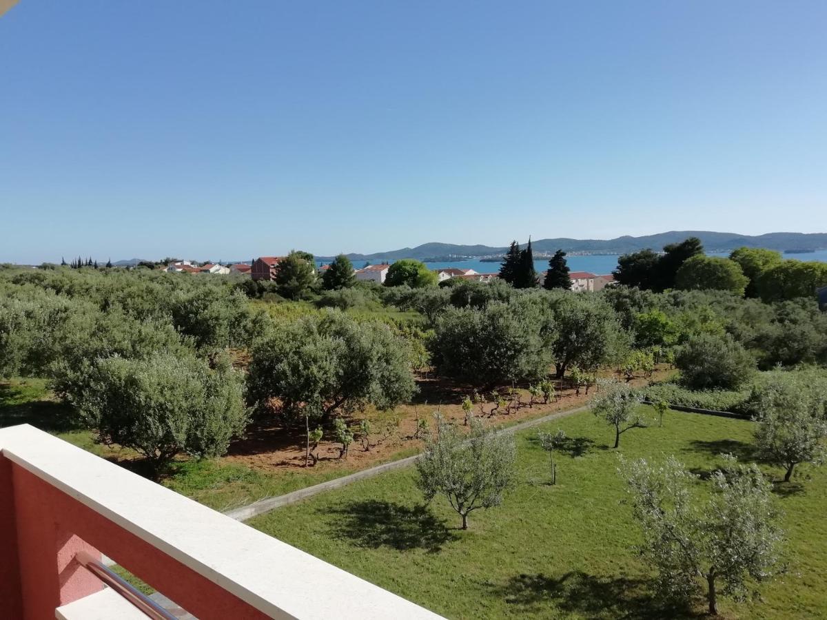 Villa „Drei Palmen“ Sveti Filip i Jakov Exterior foto